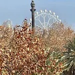Bcn Central-colon شقة *